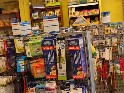 Sklep zoologiczny Żyrafa Zoo